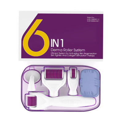 6 IN 1 DERMA ROLLER KIT