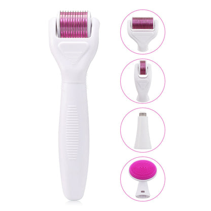 6 IN 1 DERMA ROLLER KIT