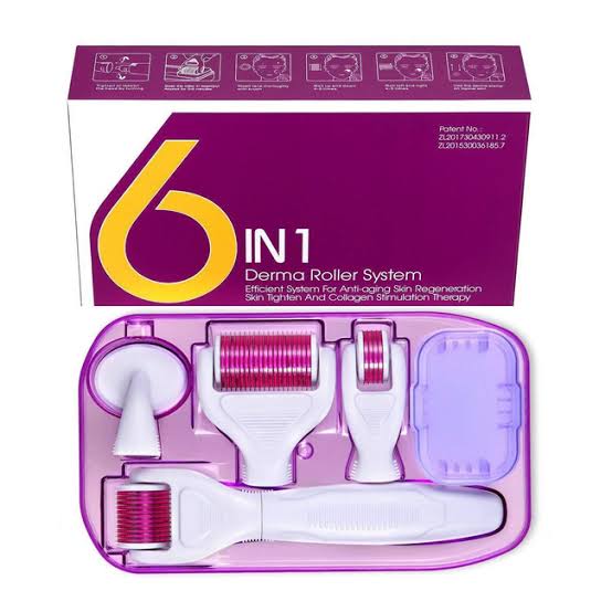 6 IN 1 DERMA ROLLER KIT