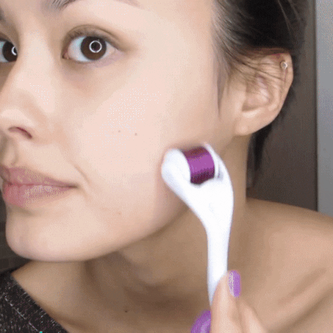 6 IN 1 DERMA ROLLER KIT