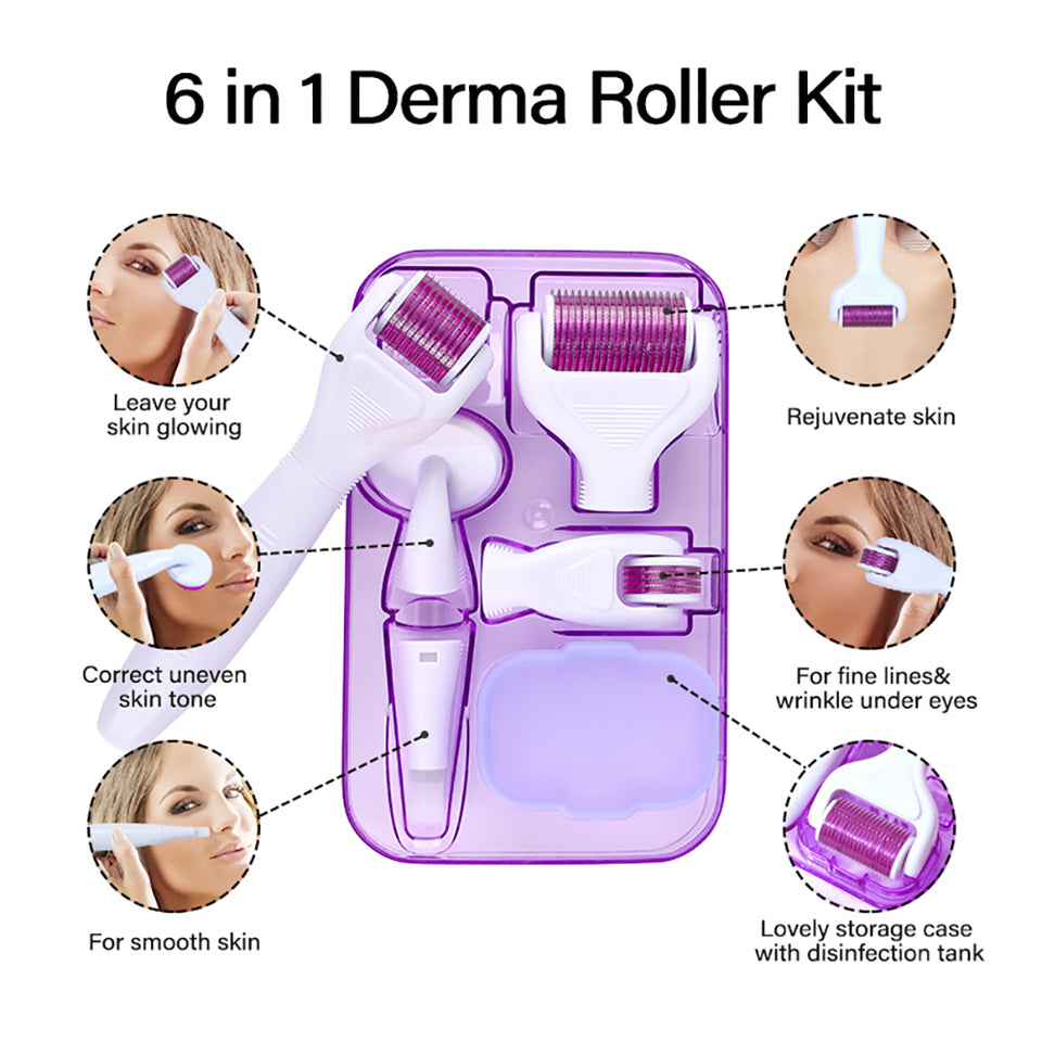 6 IN 1 DERMA ROLLER KIT
